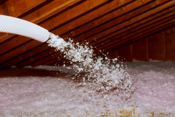 Best Commercial Insulation Services  in Eastern Goleta Valley, CA